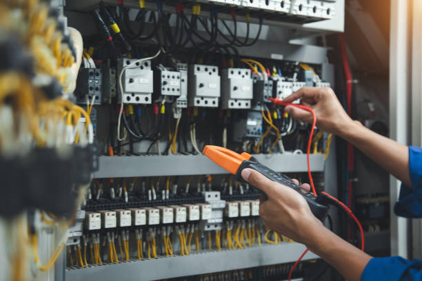 Best Electric Panel Repair  in Silver Lake, FL