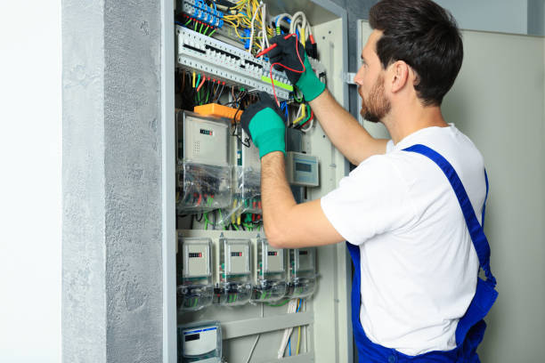 Best Electrical Troubleshooting Services  in Silver Lake, FL
